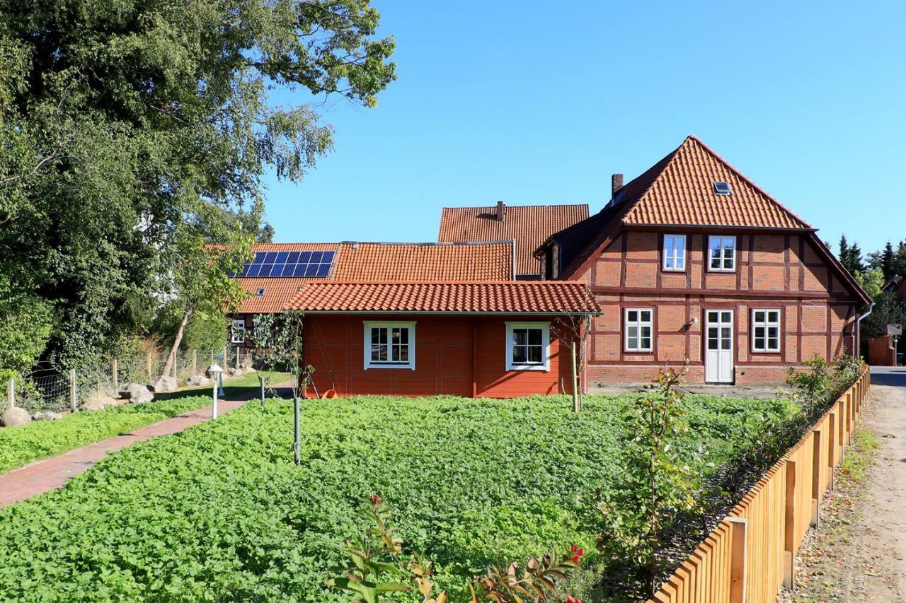Apartament Alte Schmiede Bleckede Zewnętrze zdjęcie